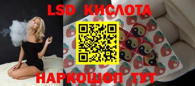 соль ск Новозыбков