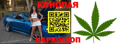 соль ск Новозыбков