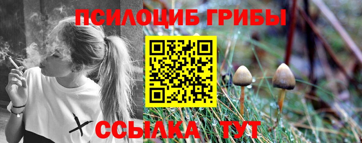 Псилоцибиновые грибы MAGIC MUSHROOMS Тара