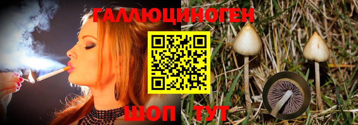 Тара  купить закладку  Вход с VPN  Галлюциногенные грибы прущие грибы 